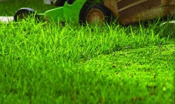 lawn mower